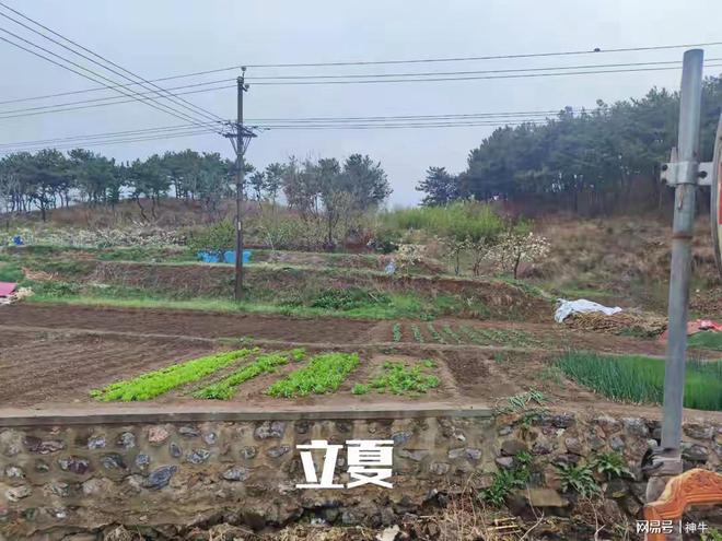 个忌讳：1不脱、2不喝、3不晚、4不吃凯发K8首页登录明日立夏记得“立夏”4(图2)